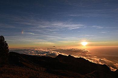 “怪兽8号 THEGAME”确定于8月31日全球同步上市！众多游戏内容皆于“怪 8 之日”首次公开！